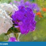 flower.jpeg